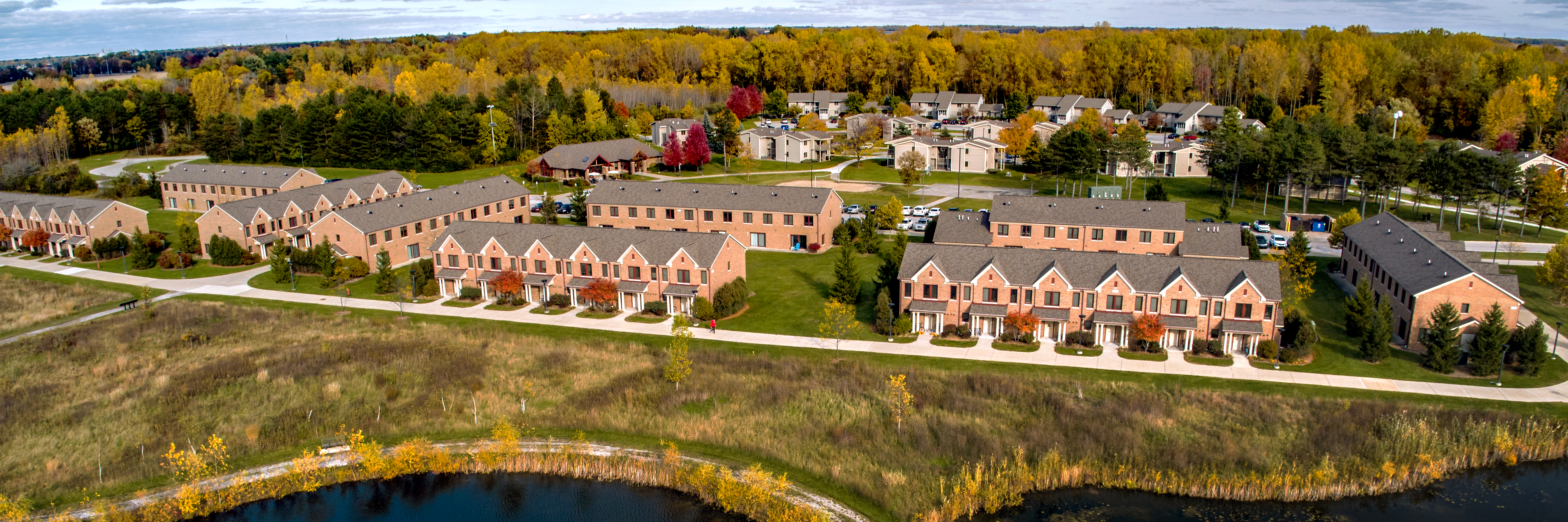 Pine Grove Drone View